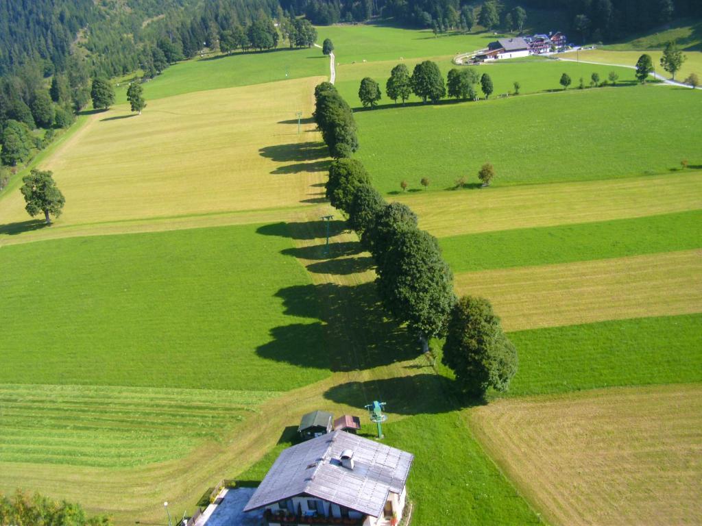 Ferienhotel Knollhof Ramsau am Dachstein Kültér fotó
