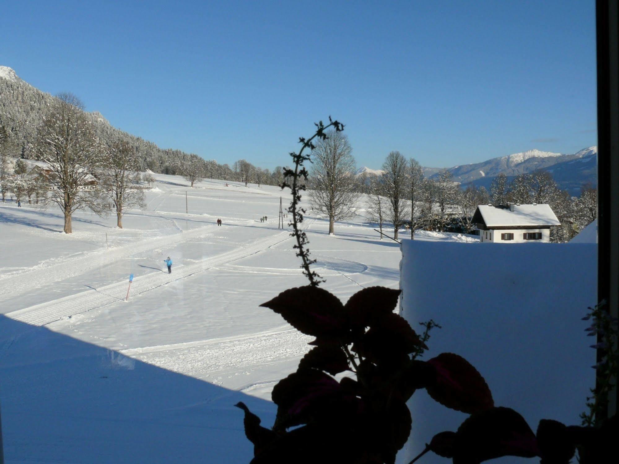 Ferienhotel Knollhof Ramsau am Dachstein Kültér fotó